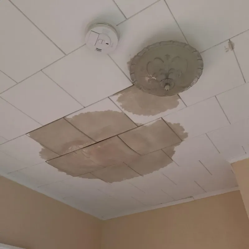 Ceiling Water Damage Repair in Montgomery, OH