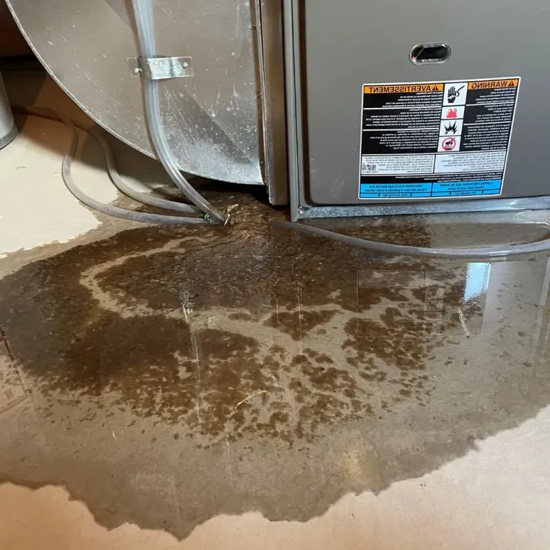 Pipe Burst and Leak Restoration in Montgomery, OH